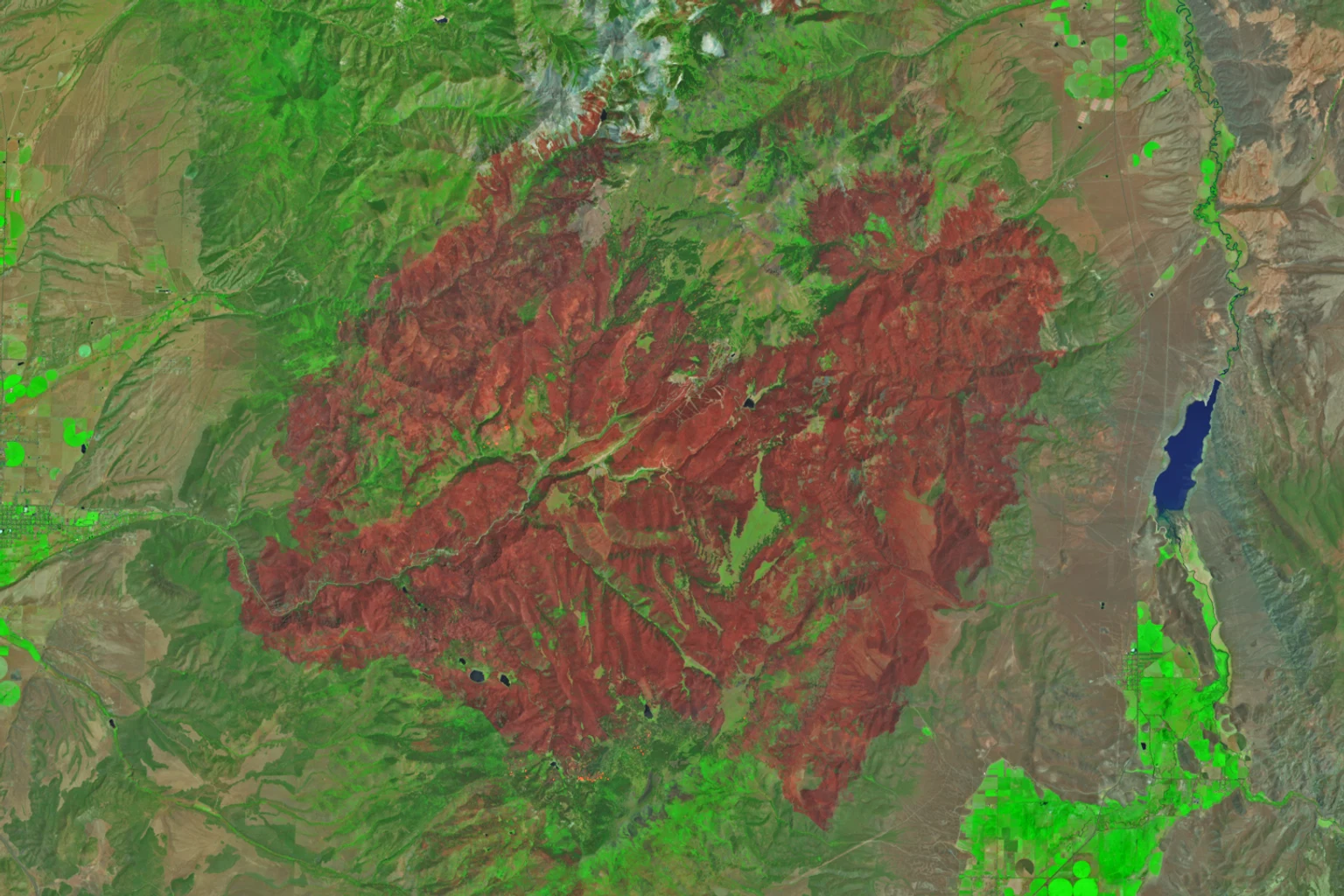2026年6月29日にLandsatが捉えたユタ州Cottonwood Fireの焼失地。